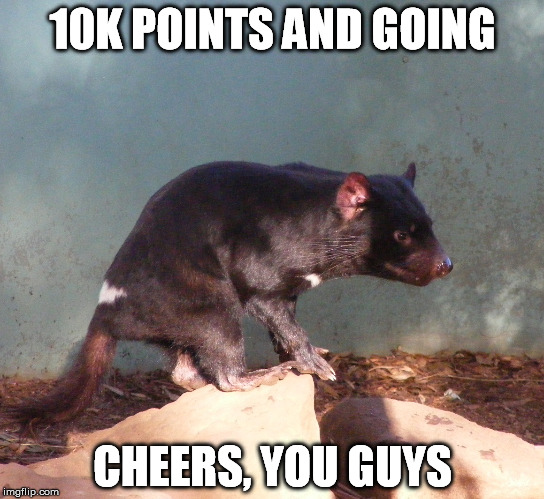 I'm on top of the... rock | 10K POINTS AND GOING CHEERS, YOU GUYS | image tagged in memes,points,triumph,tassie devil,thanks,devil | made w/ Imgflip meme maker