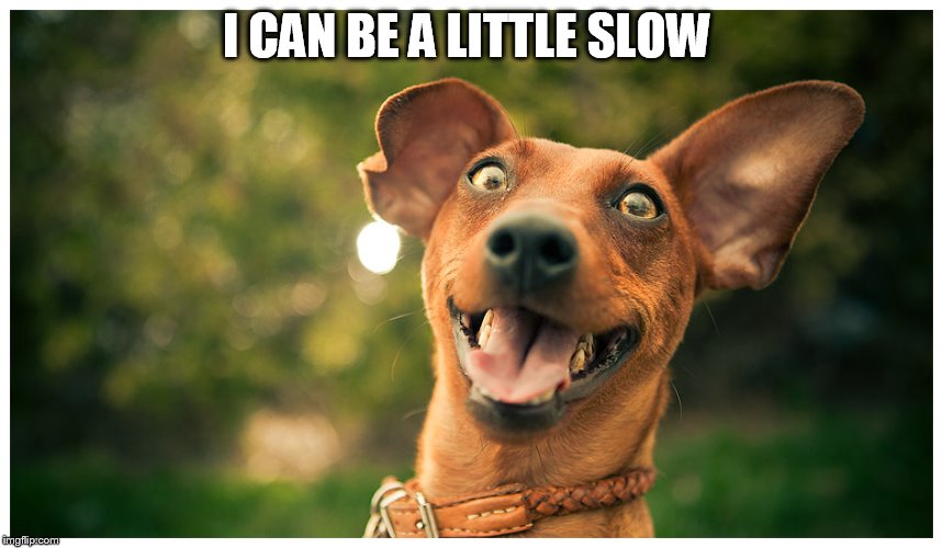 crazy mutt | I CAN BE A LITTLE SLOW | image tagged in crazy mutt | made w/ Imgflip meme maker