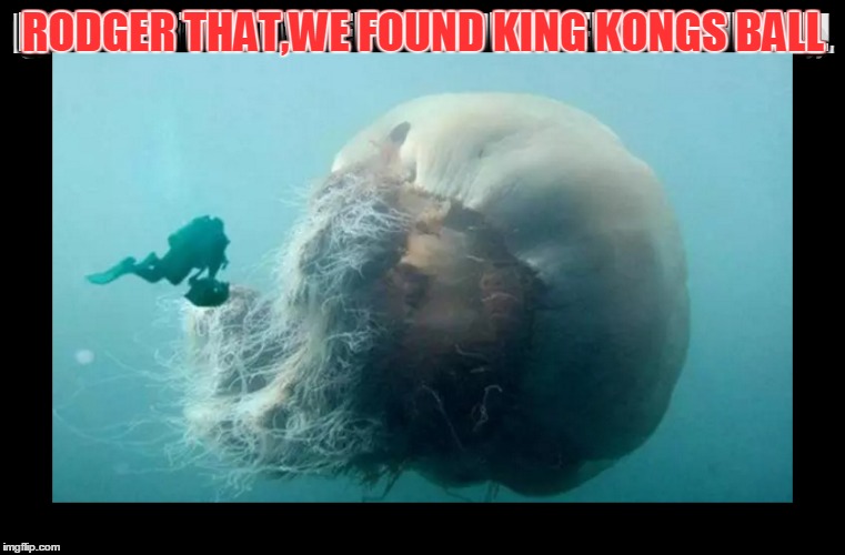 King Kong | RODGER THAT,WE FOUND KING KONGS BALL | image tagged in ball,king kong,funny,laugh,water,silly | made w/ Imgflip meme maker