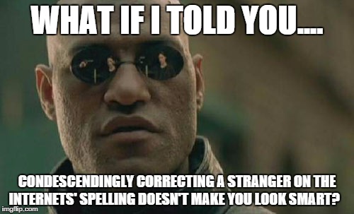 Matrix Morpheus Meme | WHAT IF I TOLD YOU.... CONDESCENDINGLY CORRECTING A STRANGER ON THE INTERNETS' SPELLING DOESN'T MAKE YOU LOOK SMART? | image tagged in memes,matrix morpheus | made w/ Imgflip meme maker
