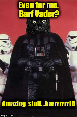 Darth cat #1 | Even for me, Barf Vader? Amazing  stuff...barrrrrrrf!! | image tagged in darth cat 1 | made w/ Imgflip meme maker