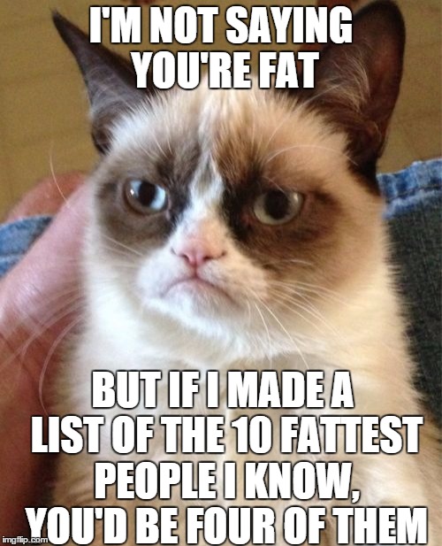 Yo Mama | I'M NOT SAYING YOU'RE FAT BUT IF I MADE A LIST OF THE 10 FATTEST PEOPLE I KNOW, YOU'D BE FOUR OF THEM | image tagged in memes,grumpy cat,yo mamas so fat | made w/ Imgflip meme maker