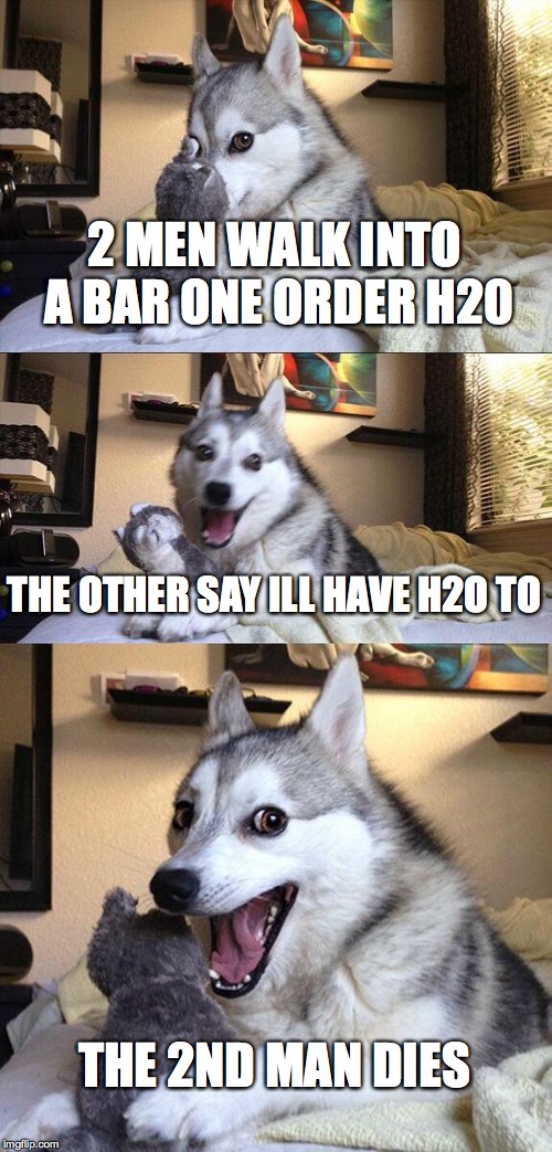 Bad Pun Dog Meme | 2 MEN WALK INTO A BAR ONE ORDER H20 THE OTHER SAY ILL HAVE H2O TO THE 2ND MAN DIES | image tagged in memes,bad pun dog | made w/ Imgflip meme maker