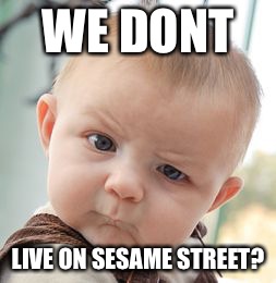 Skeptical Baby | WE DONT LIVE ON SESAME STREET? | image tagged in memes,skeptical baby | made w/ Imgflip meme maker