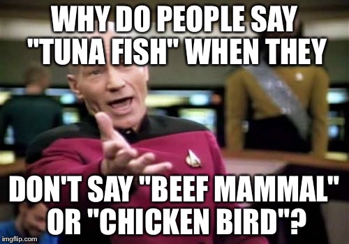 Fish Mammal Bird | WHY DO PEOPLE SAY "TUNA FISH" WHEN THEY DON'T SAY "BEEF MAMMAL" OR "CHICKEN BIRD"? | image tagged in memes,picard wtf | made w/ Imgflip meme maker