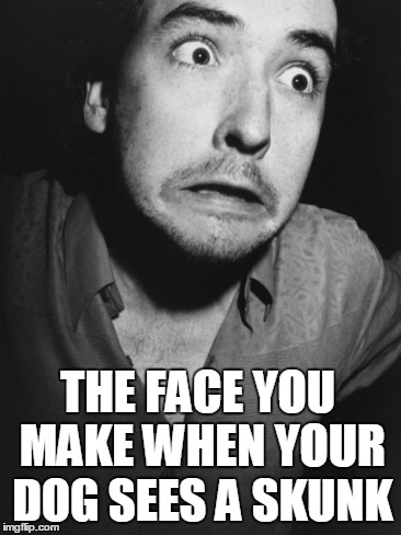 Face You Make | THE FACE YOU MAKE WHEN YOUR DOG SEES A SKUNK | image tagged in that face you make when,that face you make,the face you make,skunk,john cusack | made w/ Imgflip meme maker