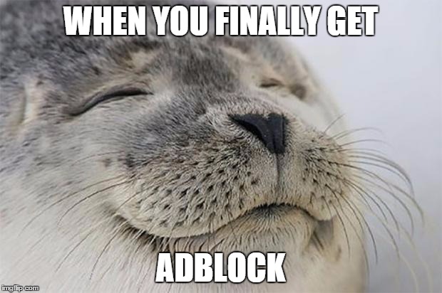 Satisfied Seal Meme | WHEN YOU FINALLY GET ADBLOCK | image tagged in memes,satisfied seal | made w/ Imgflip meme maker