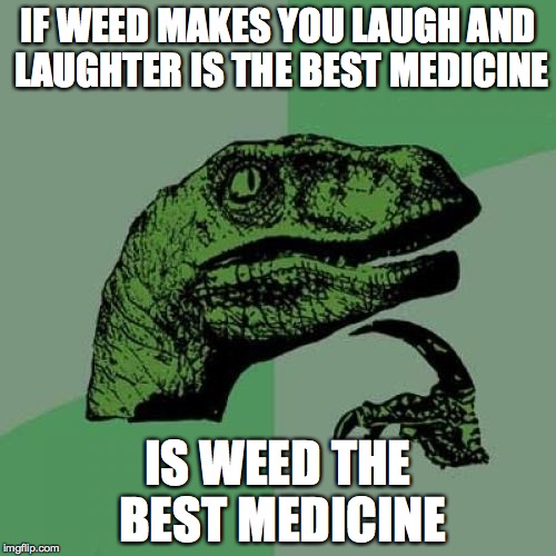 Philosoraptor | IF WEED MAKES YOU LAUGH AND LAUGHTER IS THE BEST MEDICINE IS WEED THE BEST MEDICINE | image tagged in memes,philosoraptor | made w/ Imgflip meme maker