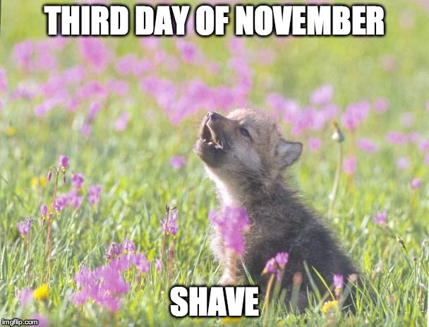 Baby Insanity Wolf Meme | THIRD DAY OF NOVEMBER SHAVE | image tagged in memes,baby insanity wolf,AdviceAnimals | made w/ Imgflip meme maker