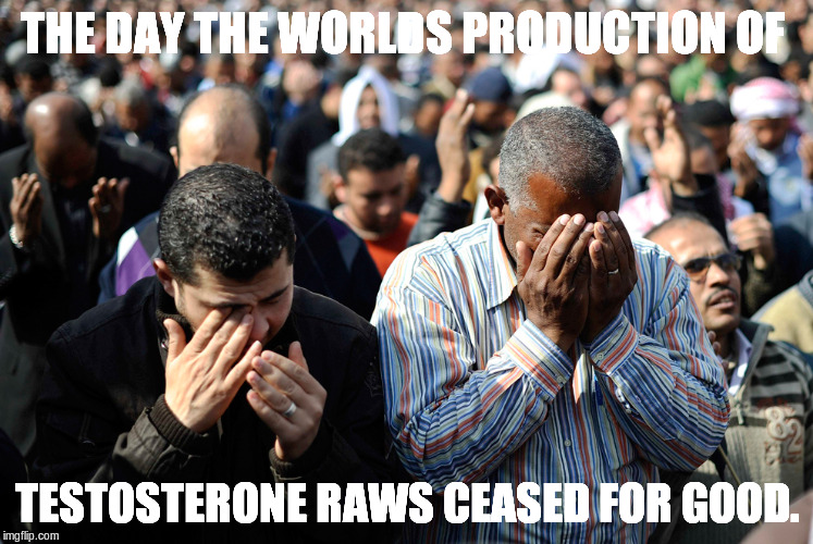 THE DAY THE WORLDS PRODUCTION OF TESTOSTERONE RAWS CEASED FOR GOOD. | made w/ Imgflip meme maker