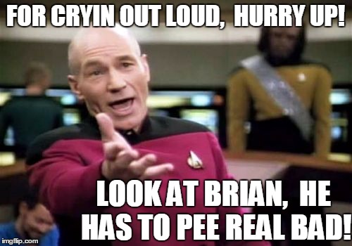 Picard Wtf Meme | FOR CRYIN OUT LOUD,  HURRY UP! LOOK AT BRIAN,  HE HAS TO PEE REAL BAD! | image tagged in memes,picard wtf | made w/ Imgflip meme maker