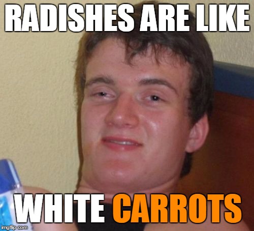 10 Guy Meme | RADISHES ARE LIKE WHITE CARROTS | image tagged in memes,10 guy | made w/ Imgflip meme maker