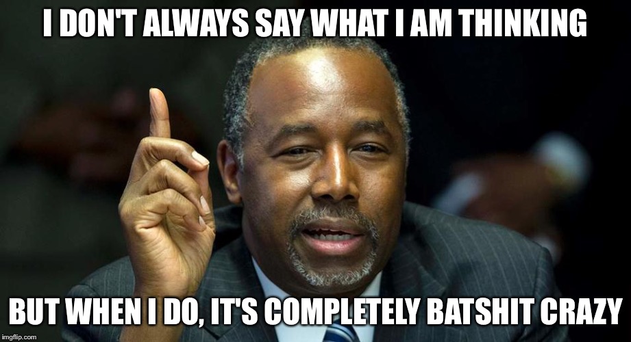 I DON'T ALWAYS SAY WHAT I AM THINKING BUT WHEN I DO, IT'S COMPLETELY BATSHIT CRAZY | made w/ Imgflip meme maker