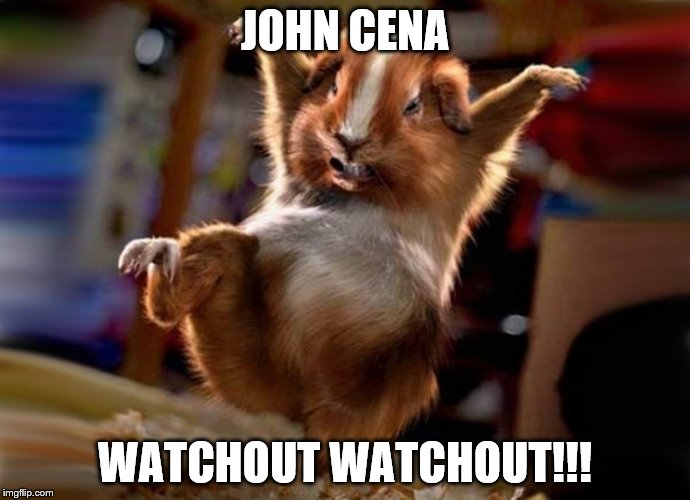 JOHN CENA  | JOHN CENA WATCHOUT WATCHOUT!!! | image tagged in hamster,john cena,funny,sloth333 | made w/ Imgflip meme maker