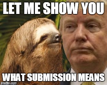 Political advice sloth | LET ME SHOW YOU WHAT SUBMISSION MEANS | image tagged in political advice sloth | made w/ Imgflip meme maker
