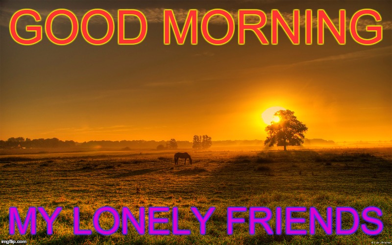 Lonely horse | GOOD MORNING MY LONELY FRIENDS | image tagged in lonely,horse,good morning | made w/ Imgflip meme maker