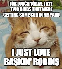 Happy cat | FOR LUNCH TODAY, I ATE TWO BIRDS THAT WERE GETTING SOME SUN IN MY YARD I JUST LOVE BASKIN' ROBINS | image tagged in happy cat | made w/ Imgflip meme maker