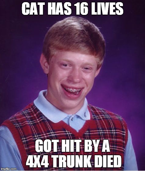Bad Luck Brian Meme | CAT HAS 16 LIVES GOT HIT BY A 4X4 TRUNK DIED | image tagged in memes,bad luck brian | made w/ Imgflip meme maker