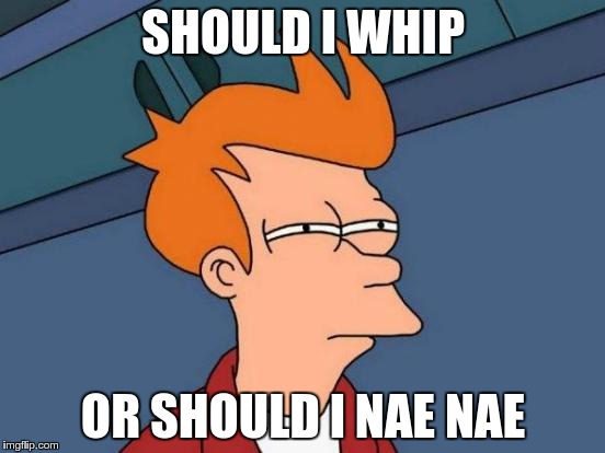 Futurama Fry | SHOULD I WHIP OR SHOULD I NAE NAE | image tagged in memes,futurama fry | made w/ Imgflip meme maker