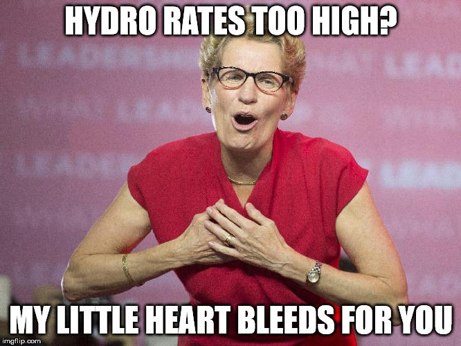 Ontario Hydro Sale | HYDRO RATES TOO HIGH? MY LITTLE HEART BLEEDS FOR YOU | image tagged in wynne,funny,ontario,liberals,hydro | made w/ Imgflip meme maker