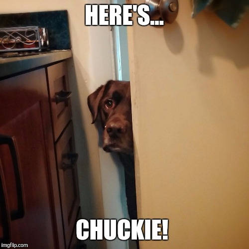 HERE'S... CHUCKIE! | image tagged in here'sjohnny | made w/ Imgflip meme maker