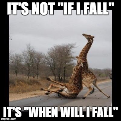 Giraffe falling  | IT'S NOT "IF I FALL" IT'S "WHEN WILL I FALL" | image tagged in giraffe falling | made w/ Imgflip meme maker