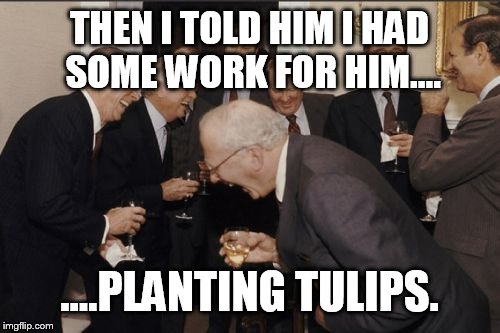 Laughing Men In Suits Meme | THEN I TOLD HIM I HAD SOME WORK FOR HIM.... ....PLANTING TULIPS. | image tagged in memes,laughing men in suits | made w/ Imgflip meme maker