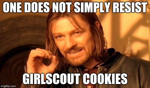 One Does Not Simply Meme | ONE DOES NOT SIMPLY RESIST GIRLSCOUT COOKIES | image tagged in memes,one does not simply | made w/ Imgflip meme maker