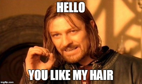 One Does Not Simply Meme | HELLO YOU LIKE MY HAIR | image tagged in memes,one does not simply | made w/ Imgflip meme maker