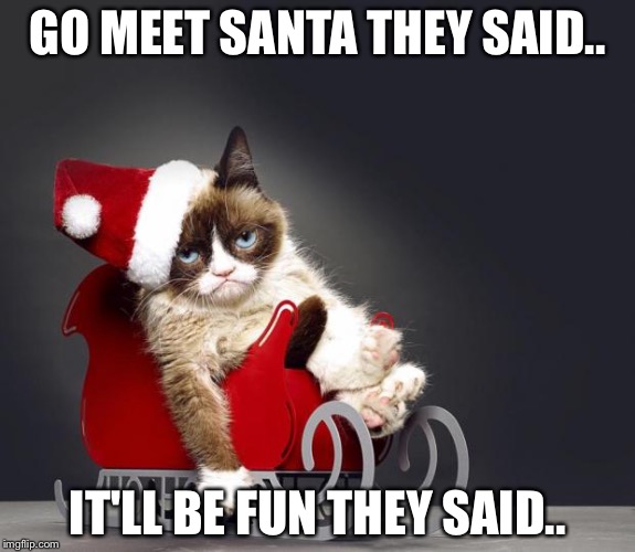 Grumpy Cat Christmas HD | GO MEET SANTA THEY SAID.. IT'LL BE FUN THEY SAID.. | image tagged in grumpy cat christmas hd | made w/ Imgflip meme maker