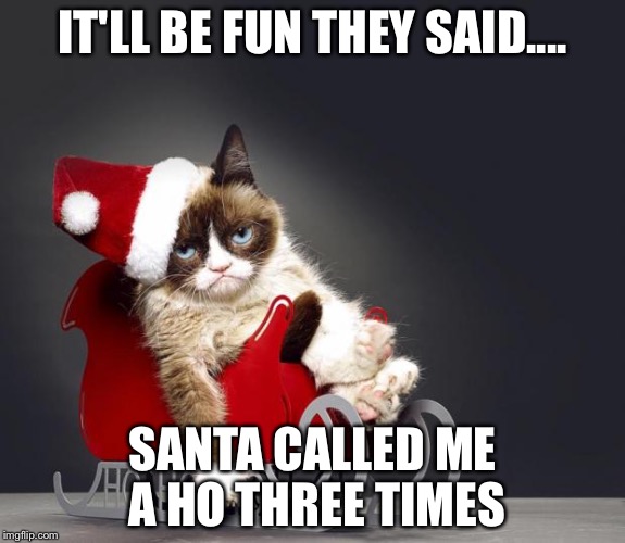 Grumpy Cat Christmas HD | IT'LL BE FUN THEY SAID.... SANTA CALLED ME A HO THREE TIMES | image tagged in grumpy cat christmas hd | made w/ Imgflip meme maker