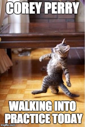 Walking Cat | COREY PERRY WALKING INTO PRACTICE TODAY | image tagged in walking cat | made w/ Imgflip meme maker