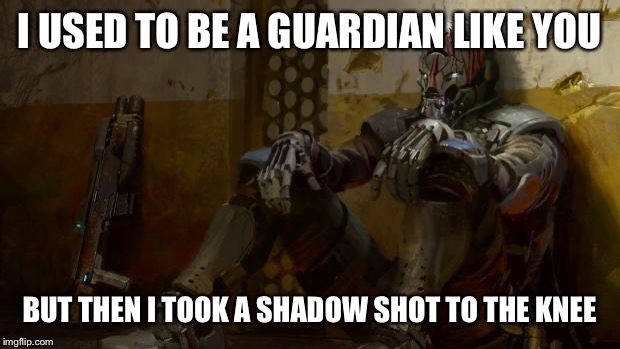 Destiny Exo | I USED TO BE A GUARDIAN LIKE YOU BUT THEN I TOOK A SHADOW SHOT TO THE KNEE | image tagged in destiny exo | made w/ Imgflip meme maker
