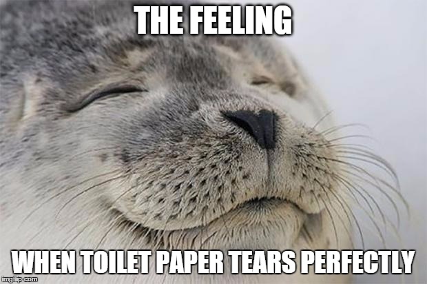 Satisfied Seal | THE FEELING WHEN TOILET PAPER TEARS PERFECTLY | image tagged in memes,satisfied seal | made w/ Imgflip meme maker