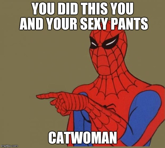 spiderman | YOU DID THIS YOU AND YOUR SEXY PANTS CATWOMAN | image tagged in spiderman | made w/ Imgflip meme maker