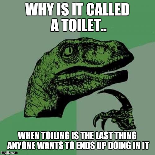 Philosoraptor | WHY IS IT CALLED A TOILET.. WHEN TOILING IS THE LAST THING ANYONE WANTS TO ENDS UP DOING IN IT | image tagged in memes,philosoraptor | made w/ Imgflip meme maker