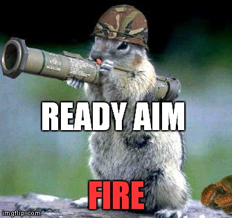 Bazooka Squirrel | READY AIM FIRE | image tagged in memes,bazooka squirrel | made w/ Imgflip meme maker