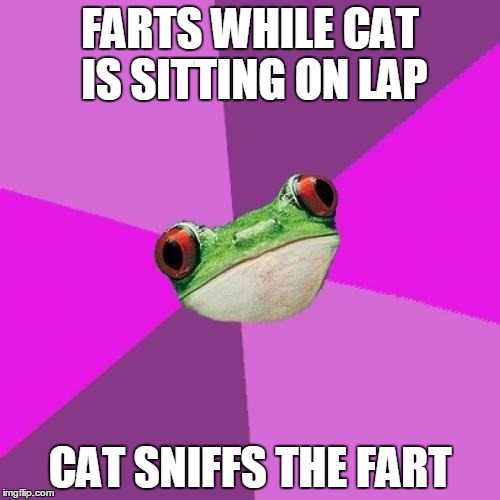 Foul Bachelorette Frog Meme | FARTS WHILE CAT IS SITTING ON LAP CAT SNIFFS THE FART | image tagged in memes,foul bachelorette frog | made w/ Imgflip meme maker