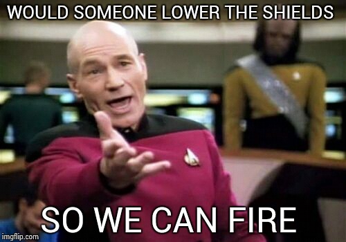 photastrophy waiting to happen  | WOULD SOMEONE LOWER THE SHIELDS SO WE CAN FIRE | image tagged in memes,picard wtf | made w/ Imgflip meme maker