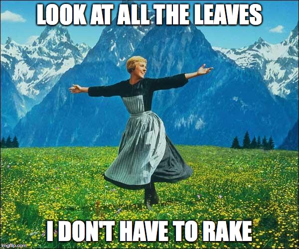 Sound of Music | LOOK AT ALL THE LEAVES I DON'T HAVE TO RAKE | image tagged in sound of music,funny | made w/ Imgflip meme maker