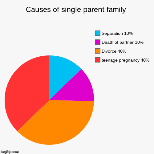 image tagged in funny,pie charts | made w/ Imgflip chart maker