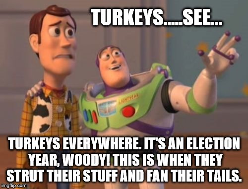 Turkeys come out in election years... | TURKEYS.....SEE... TURKEYS EVERYWHERE. IT'S AN ELECTION YEAR, WOODY! THIS IS WHEN THEY STRUT THEIR STUFF AND FAN THEIR TAILS. | image tagged in memes,x x everywhere,turkey,election 2016 | made w/ Imgflip meme maker