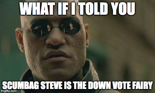 Matrix Morpheus | WHAT IF I TOLD YOU SCUMBAG STEVE IS THE DOWN VOTE FAIRY | image tagged in memes,matrix morpheus | made w/ Imgflip meme maker