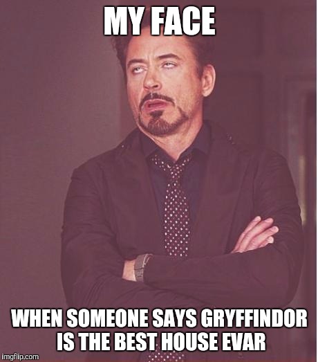 Face You Make Robert Downey Jr | MY FACE WHEN SOMEONE SAYS GRYFFINDOR IS THE BEST HOUSE EVAR | image tagged in memes,face you make robert downey jr | made w/ Imgflip meme maker