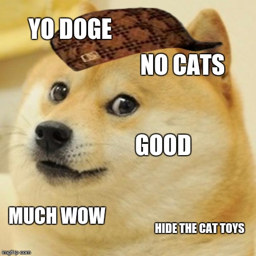 Doge Meme | YO DOGE NO CATS GOOD MUCH WOW HIDE THE CAT TOYS | image tagged in memes,doge,scumbag | made w/ Imgflip meme maker