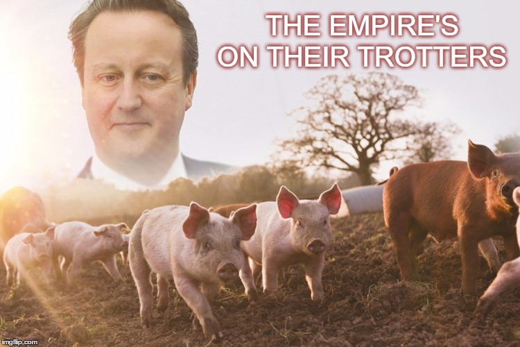 The Empire's on their trotters | THE EMPIRE'S ON THEIR TROTTERS | image tagged in empire,march,trotters,david,cameron,pig | made w/ Imgflip meme maker