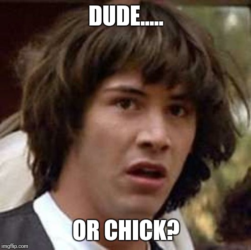 Conspiracy Keanu Meme | DUDE..... OR CHICK? | image tagged in memes,conspiracy keanu | made w/ Imgflip meme maker