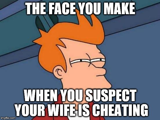 Futurama Fry Meme | THE FACE YOU MAKE WHEN YOU SUSPECT YOUR WIFE IS CHEATING | image tagged in memes,futurama fry | made w/ Imgflip meme maker
