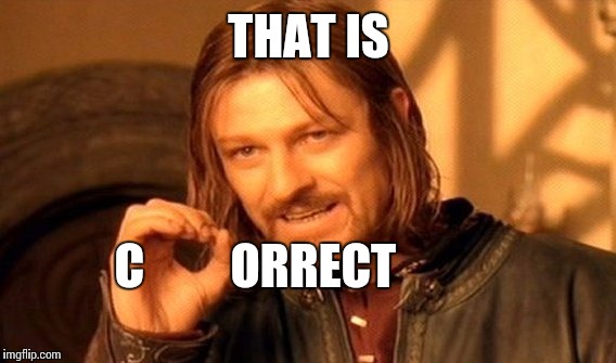 One Does Not Simply Meme | THAT IS C         ORRECT | image tagged in memes,one does not simply | made w/ Imgflip meme maker