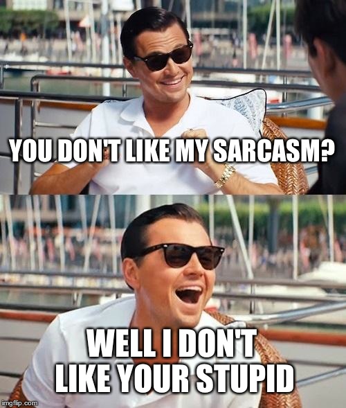 Leonardo Dicaprio Wolf Of Wall Street | YOU DON'T LIKE MY SARCASM? WELL I DON'T LIKE YOUR STUPID | image tagged in memes,leonardo dicaprio wolf of wall street | made w/ Imgflip meme maker